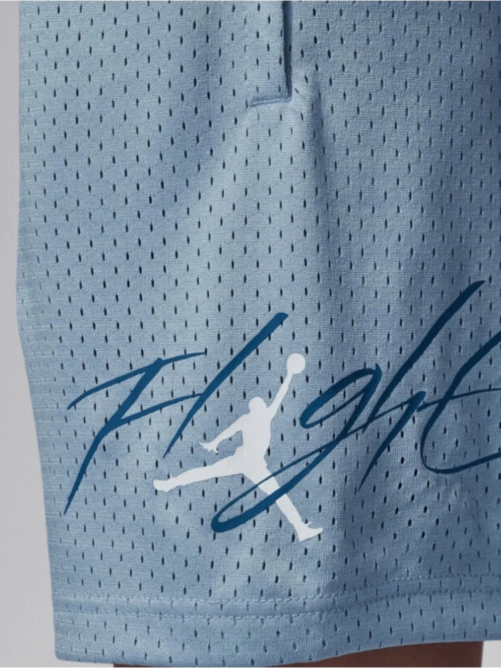 Jordan Off-Court Flight Shorts -Brand New With Tags
